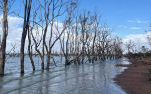 Water advisory groups open up member nominations