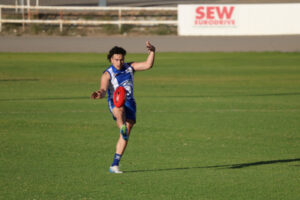 Dogs dole out 100-plus point thrashing