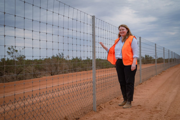 Dog fence upgrades arrive